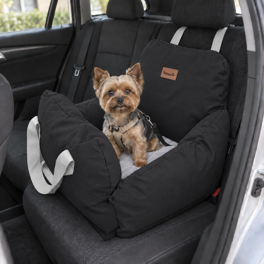 Asiento de Viaje — Viajes Cómodos y Seguros