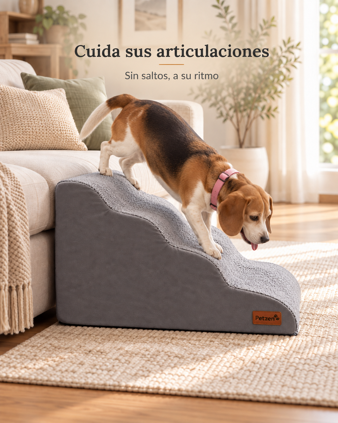 Escalera Premium — Sube Solito, Sin Saltar