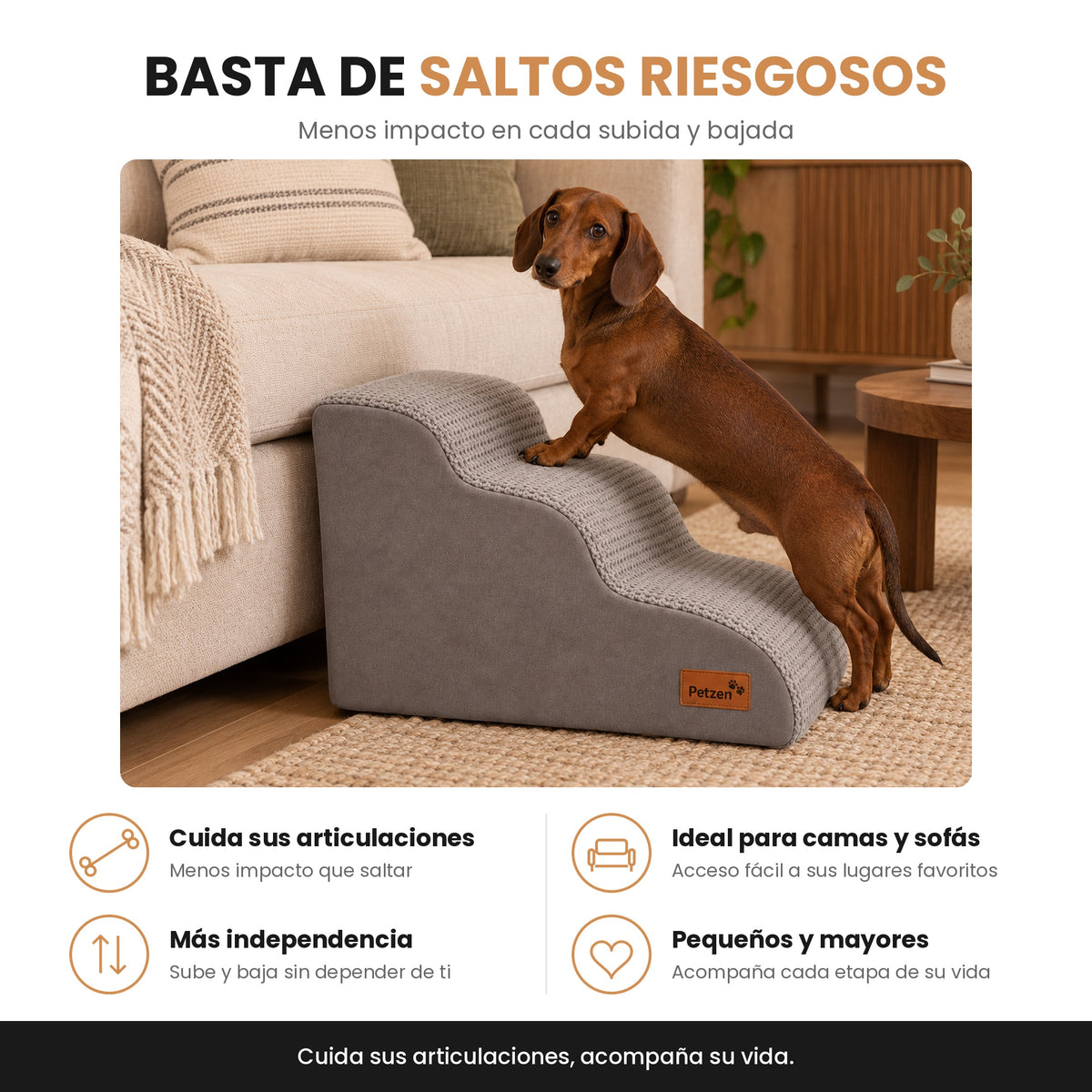 Escalera Premium — Sube Solito, Sin Saltar