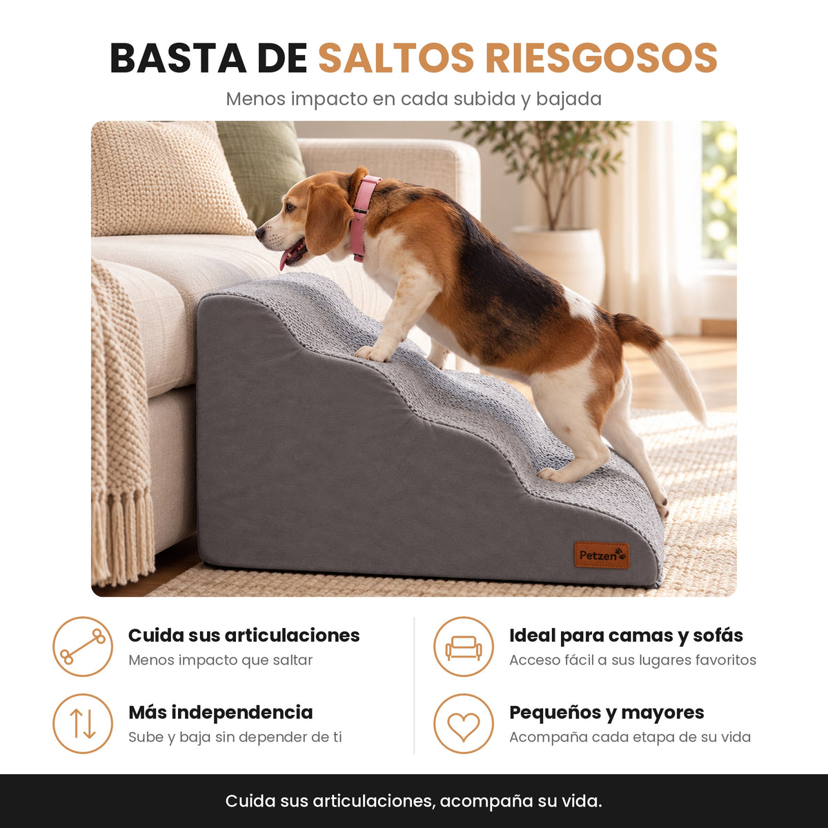 Escalera Premium — Sube Solito, Sin Saltar